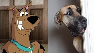 Cartoon characters in real life -  Scooby-Doo in Real Life