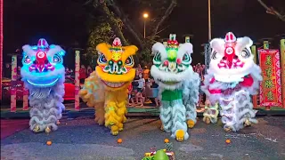 Led Acrobatic Lion Dance