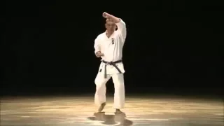 Pinan Nidan - Yasuhiro Uema Sensei