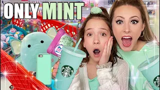 NO BUDGET *MINT ONLY* SHOPPING SPREE! 🤑👗