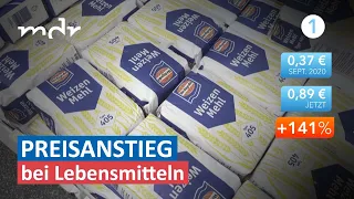 Steigende Lebensmittelpreise: Welche Entlastungen diskutiert werden | Umschau | MDR