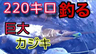 (釣り)超巨大カジキ釣り！200キロ越えファイト映像！2020.10.04