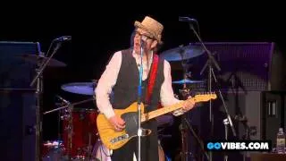 Elvis Costello & The Imposters Perform "Peace, Love, and Understanding" at Vibes 2011
