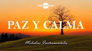 🌄🙇🏻‍♂️Música Instrumental Cristiana / Paz Y Calma🙇🏻‍♂️🌄