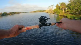 Abu Garcia Ambassadeur 5000C vintage bait casting reel.