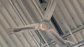 15 Various Industrial Ceiling Fans in a Home Depot