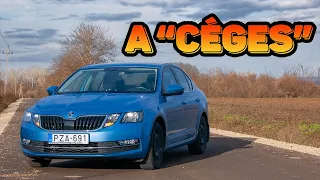 Skoda Octavia (2018) használt teszt - Az igazi céges autó