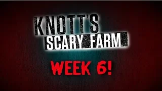 Knott's Scary Farm Week 6 | HauntVlog 2019