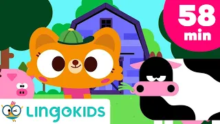 Old MacDonald Had a Farm & More Animal Songs for Kids 🐄 🚜| Lingokids