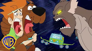 Be Cool, Scooby-Doo! po Polsku 🇵🇱  | Niebo Wysokie 🚀 | WB Kids