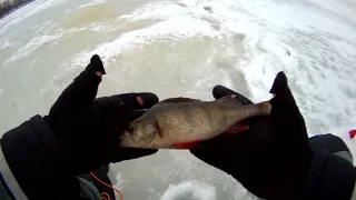 РЫБАЛКА НА ХИМКИНСКОМ ВОДОХРАНИЛИЩЕ  ЛОВЛЯ ОКУНЯ В ОТТЕПЕЛЬ ПРИ НИЗКОМ ДАВЛЕНИИ НА БЕЗМОТЫЛКУ