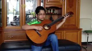 Navid : Green Leaves on guitar