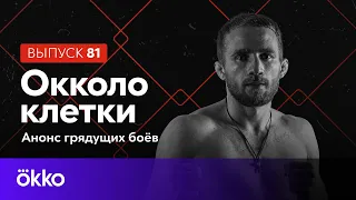 Oкколо клетки 81 | Павел Витрук про Магомедова и Микса | Кто станет чемпионом Bellator?