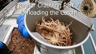 Tanner Crab Season Pt.7 - Offloading Crab Catch and Hoisting Gear