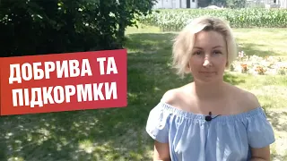 Як підживити рослини, які добрива та підкормки використовую для городини?