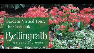 Gardens Virtual Tour: The Overlook