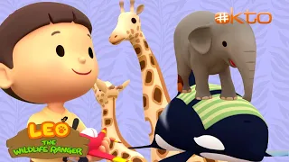 Leo the Wildlife Ranger | LEARN About BIG ANIMALS🐘| Giraffe, Whale & More| @Mediacorpokto  ​