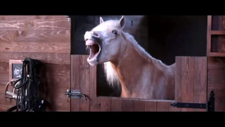 Volkswagen Tiguan Horses laugh Commercial   2016