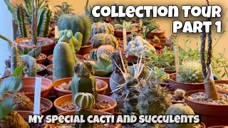 Cactus and Succulent Collection Tour Part 1 | My Special and Favourite Cacti and Succulents Plant