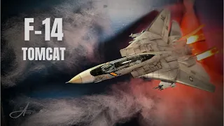 F-14 Tomcat - Revell 1/144 | Full Build
