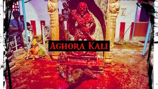 Aghori Dussehra pooja | Navaratri | Aghori Maha Rudra Yajna | Aghori Guru Manikandan |