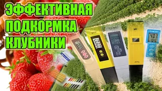 Питание Клубники PH и EC воды