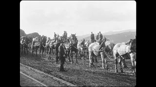 770 - opérateur inconnu - Transport d’une tourelle par un attelage de 60 chevaux ( 1896 )