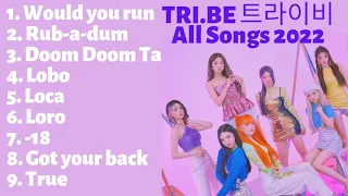 TRI.BE 트라이비 | 2022 All Songs Complication | Collection Playlist | 노래 모음