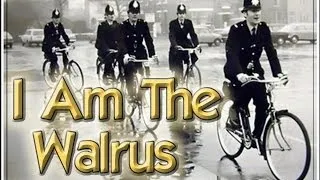 BEATLES I AM THE WALRUS ACOUSTIC COVER 60s GUITAR