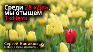 Среди 28 «Да», мы отыщем 1 «Нет» #МысльНаПодумать