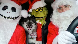 Santa Clause Surprises Kakoa With Dancing Car Ride!