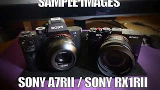 Sony A7RII and RX1RII Sample Images