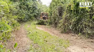 Good Job Caterpillar D6R XL Bulldozer Operator Working to Clean Plantation Roads