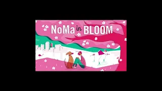 NoMa Business Improvement District Launches NoMa in Bloom