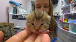 Котята начинают открывать глаза! Видео про маму кошку!