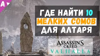 Где найти мелких сомов для алтаря || Assassin's Creed Valhalla Вальгалла