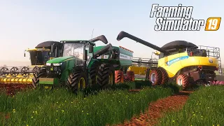 NOSSO AMENDOIM TA RENDENDO MUITO | Farming Simulator 19 | Fazendas Paraná - Episodio 25