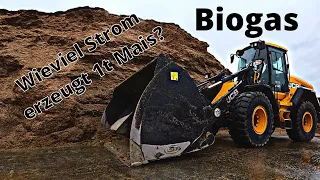 Wieviel Strom erzeugt eine Tonne Mais? Stattdessen einfach Diesel verbrennen? #Biogas