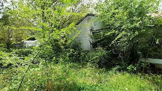 CRAZY Backyard TRANSFORMATION For Elderly Disabled Couple - ODDLY SATISFYING TO WATCH