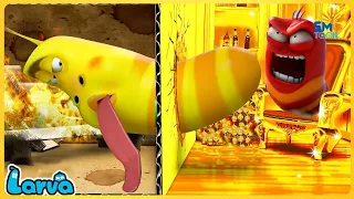 LARVA FULL EPISODE | CARTOON MOVIES FOR LIFE | THE BEST OF FUNNY CARTOON | COMEDY VIDEO 2023