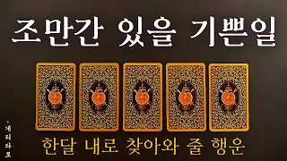 [타로카드] 조만간 내게 있을 기쁜일 🧞 한달 내로 찾아와줄 행운