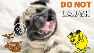 You will have TEARS IN YOUR EYES FROM LAUGHING 🤣🤣🤣 The FUNNIEST DOGS compilation 2020