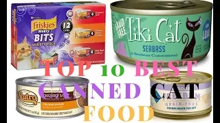 Top 10 best canned cat food