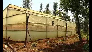 Low cost greenhouse farming