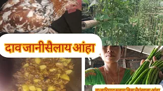 दाव जानीसैलाय आंहा//बारियाव सबाय बिमा मैगं खाबाय आंहा//