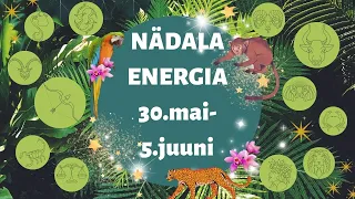 ⚡️ Nädala Energia ⚡️ 🌴 30.mai-5.juuni 🌴 - 🔮 12 Tähemärki 🔮