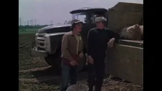 «Баламут» (1978)_Как правильно считать картошку