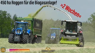 Grünroggen häckseln ohne Ende! 450 ha für die Biogasanlage LU Dömling im Lohnauftrag GPS Ernte 2022