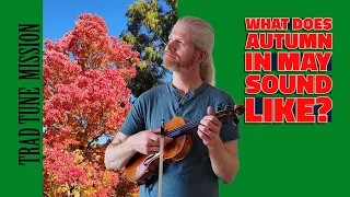 What does autumn in May sound like? | Irish Traditional Music | Celtic Music | Fiddle Music