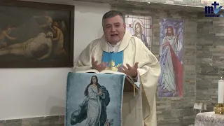 Homilía de Hoy │La Inmaculada Concepción de la Virgen María│8-12-2022 │P. Santiago Martín, FM